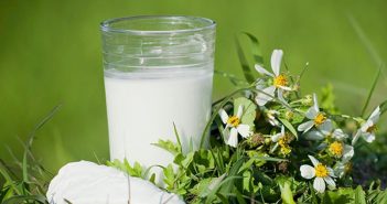 uống bột sắn dây lúc nào là tốt nhất